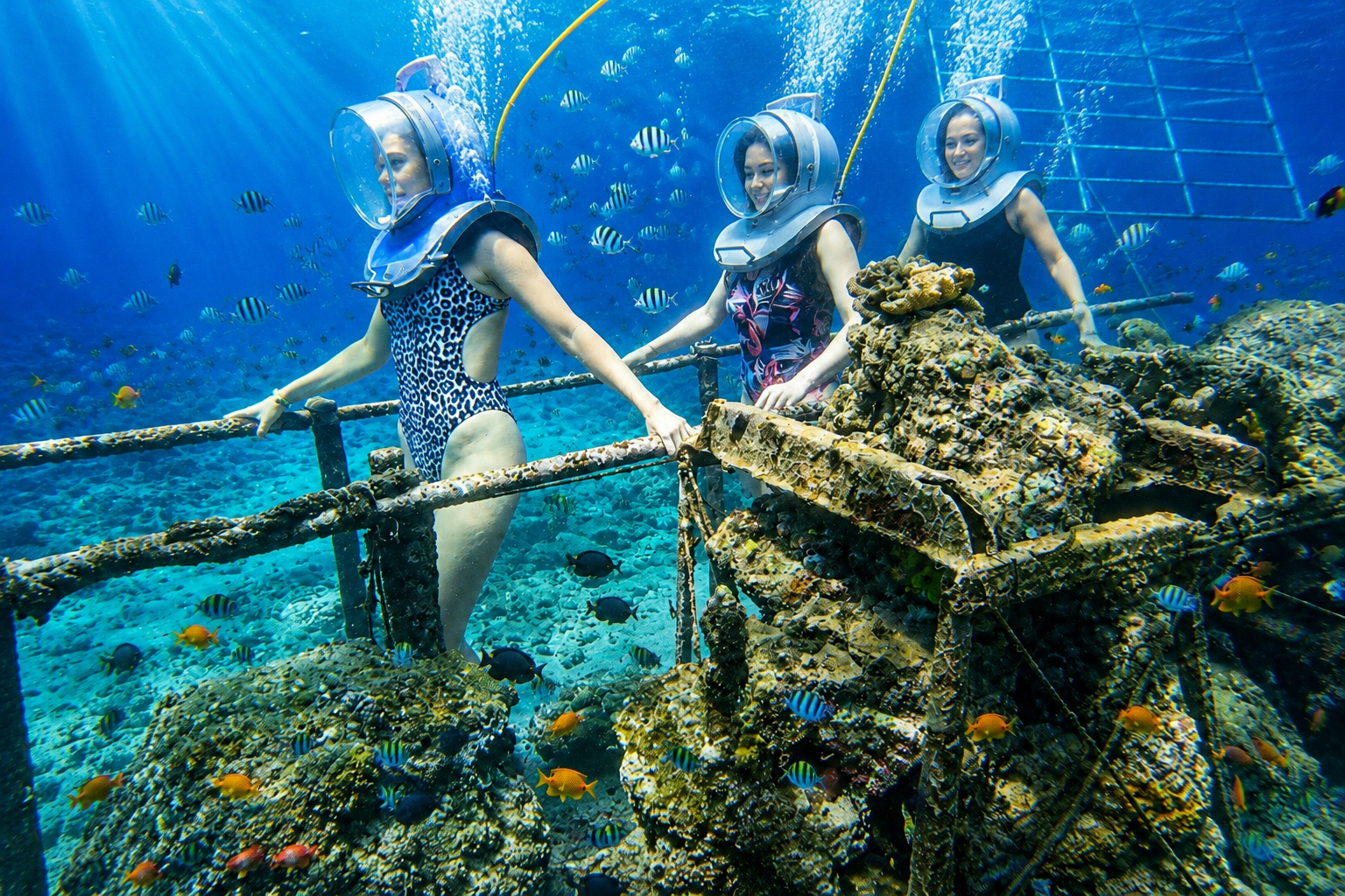 Bali Sea Walker experience with ocean walk and Uluwatu private tour exploring hidden beaches and coastal views